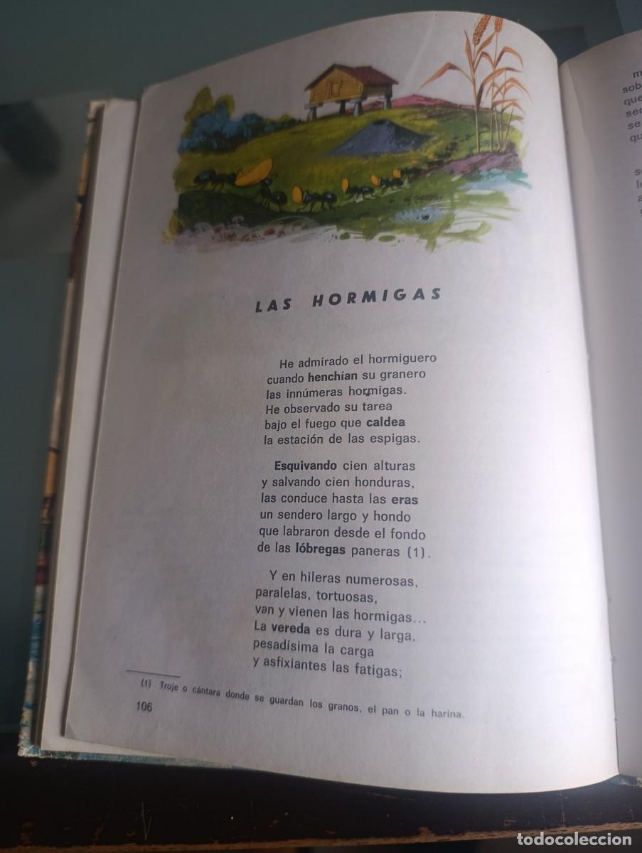 Libros de segunda mano: 2 Libros &rdquo;Lecturas Comentadas&rdquo; - Foto 3