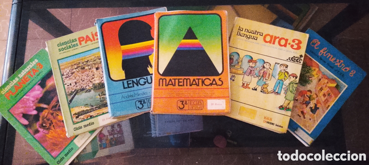 Libros de segunda mano: Megapack 6 Libros 3&ordm; EGB Ara 3, Planeta 3, Pa&iacute;s 3 y Finestr&oacute;