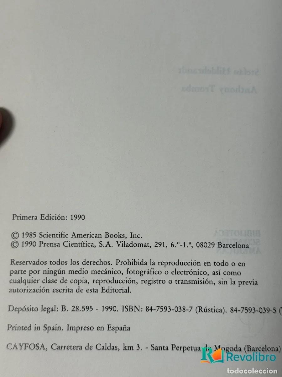 Libros de segunda mano: Matematica y Formas Optimas - Stefan Hildebrandt y Anthony Tromba - Foto 2