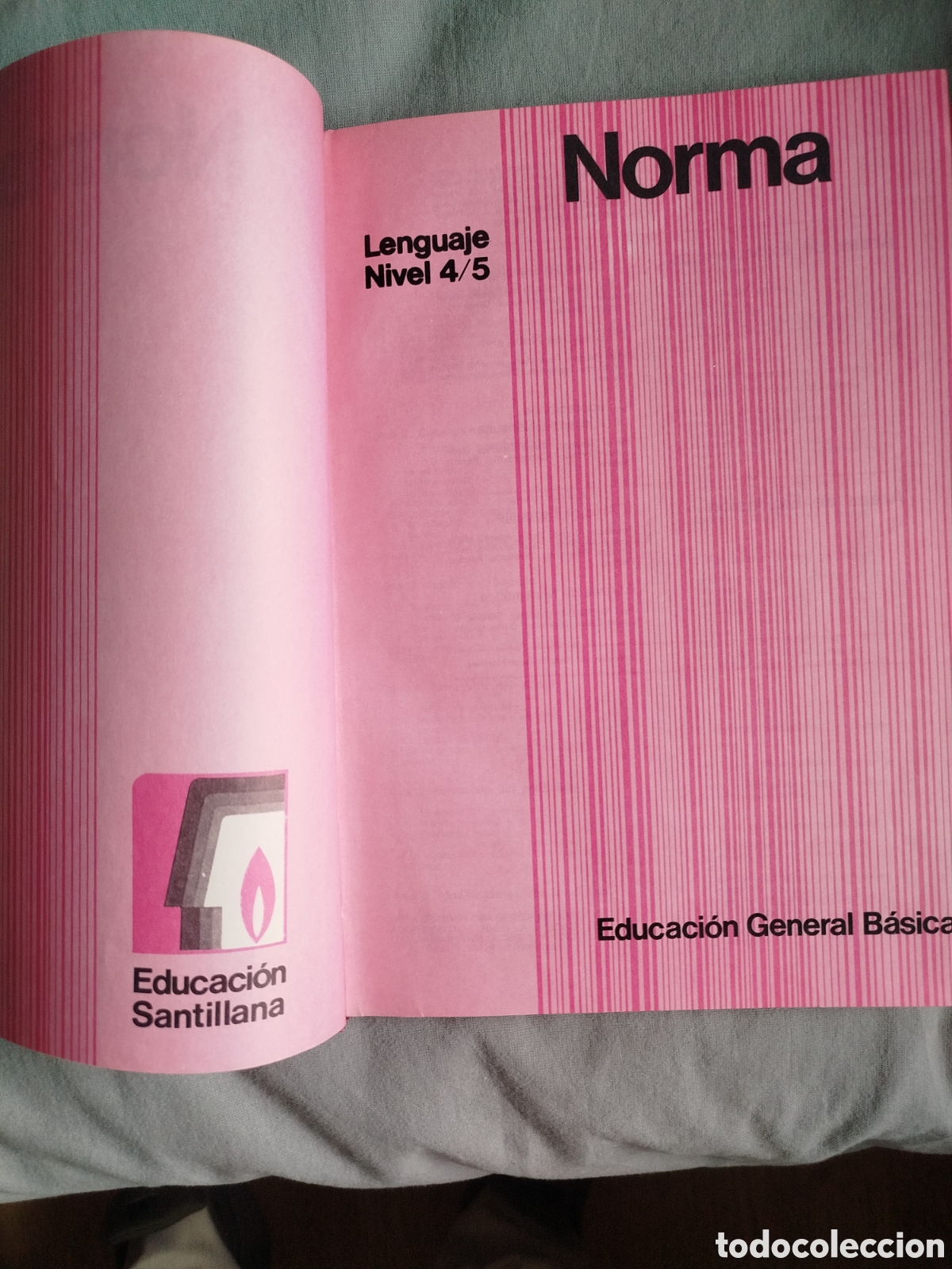 Libros de segunda mano: Libro consulta Santillana norma lenguaje 4/5 - Foto 3