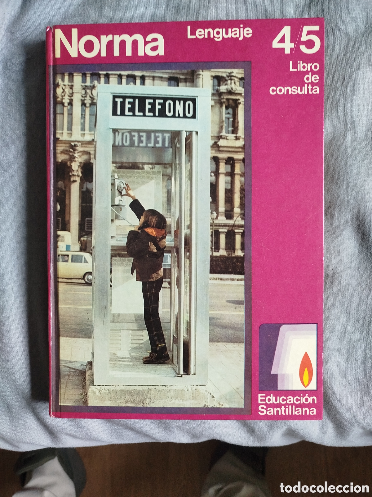 Libros de segunda mano: Libro consulta Santillana norma lenguaje 4/5