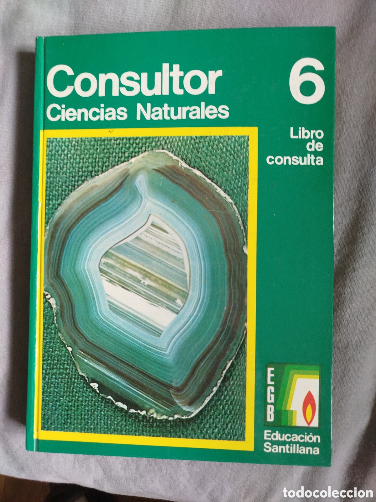 Libros de segunda mano: Consultor santillana 6 EGB ciencias naturales