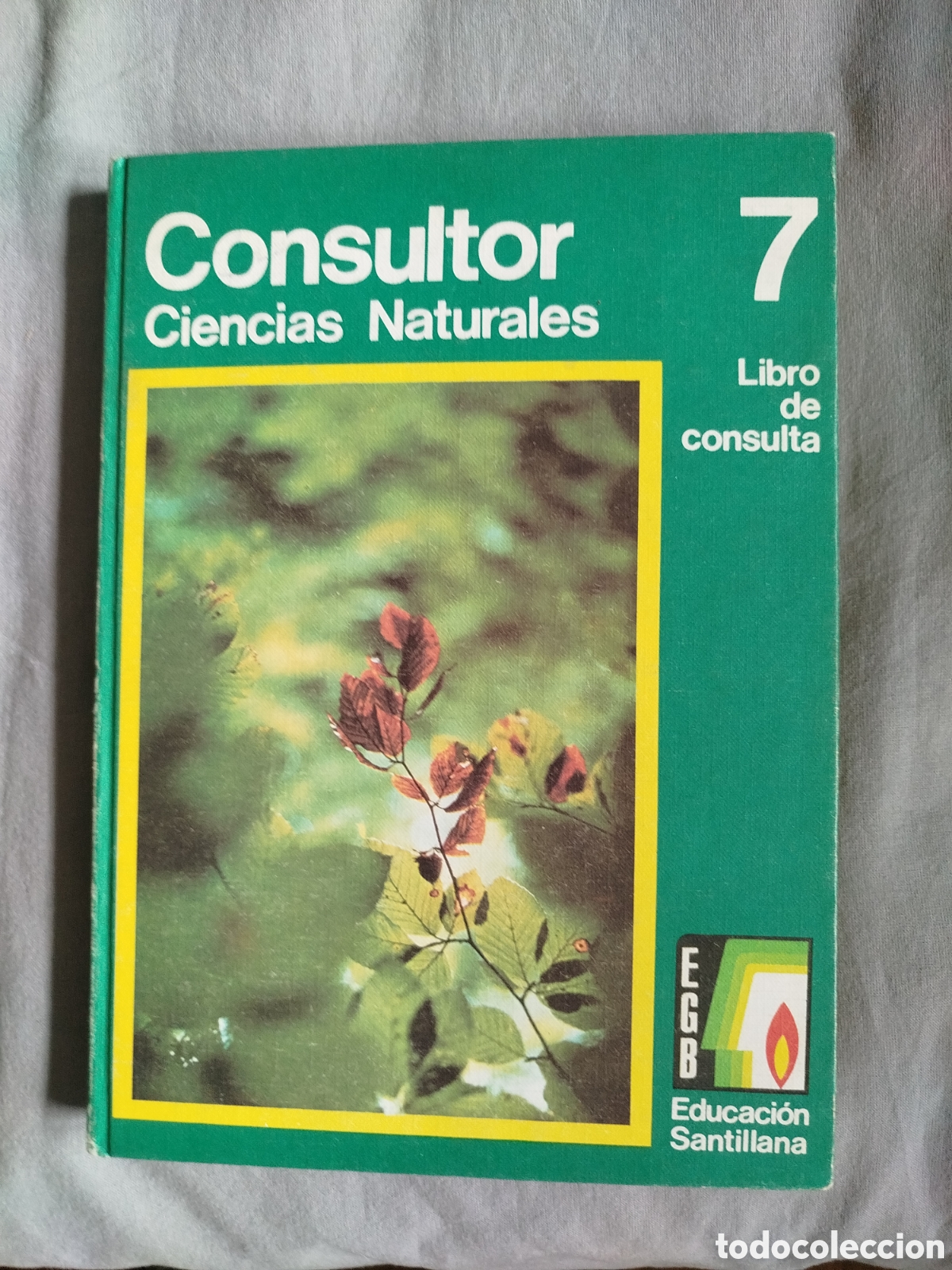 Libros de segunda mano: Consultor santillana 7 EGB ciencias naturales