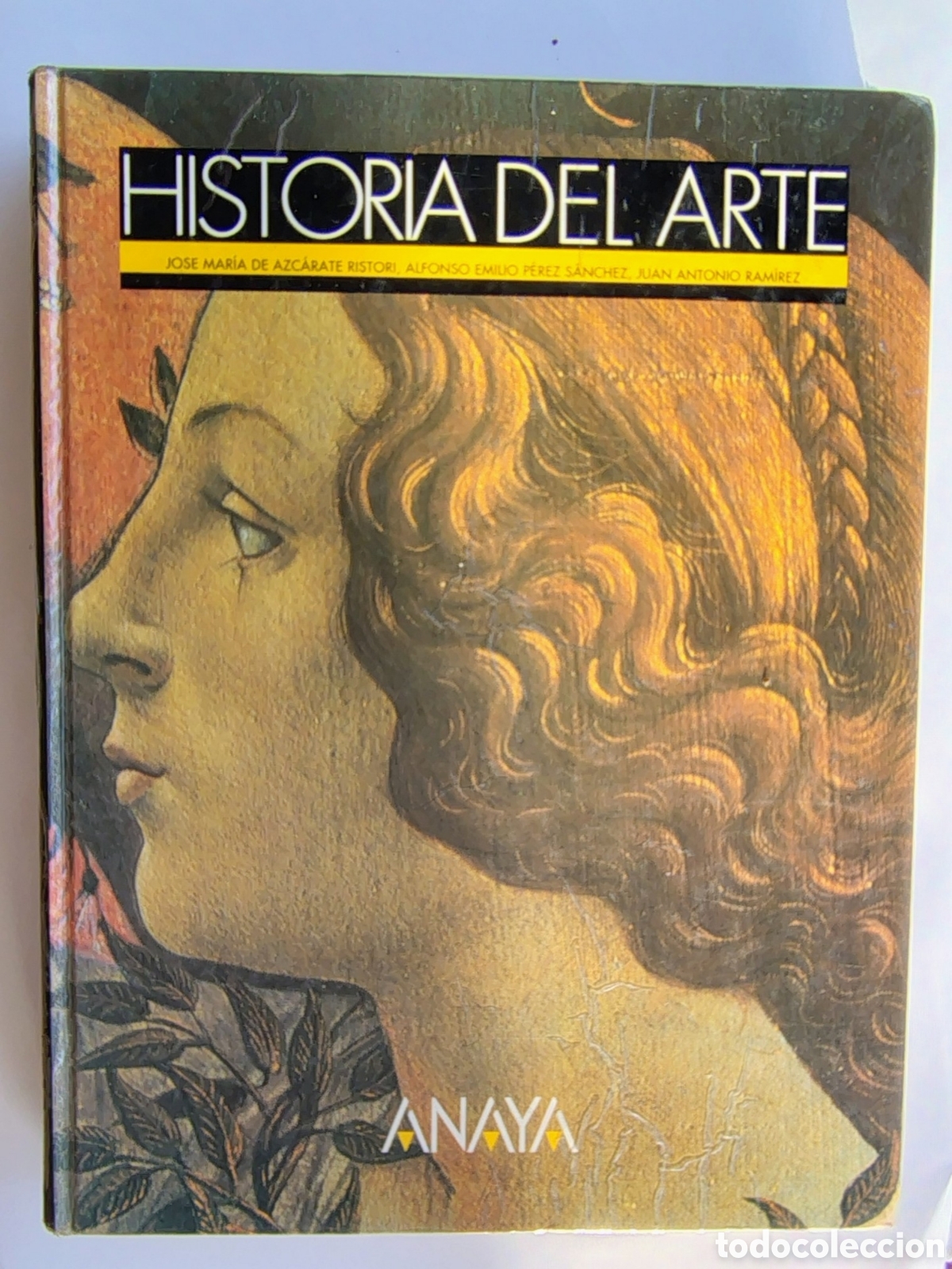 Libros de segunda mano: Historia del Arte &ndash; Azc&aacute;rate, P&eacute;rez S&aacute;nchez y Ram&iacute;rez | Anaya