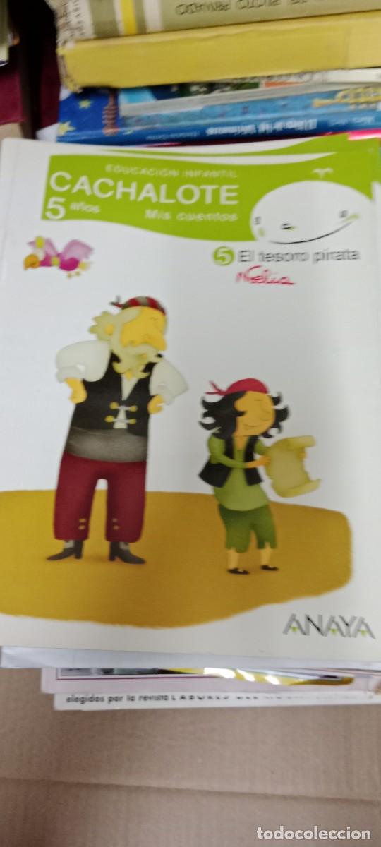 Libros de segunda mano: LOTE DE 6 LIBRILLOS DE EDUCACION INFANTIL CACHALOTE LOS DE FOTO CU-1A