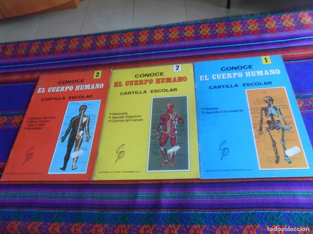 Second hand books: CONOCE EL CUERPO HUMANO CARTILLA ESCOLAR N&ordm;S 1 2 3 COMPLETA. EDITORIAL CULTURA Y PROGRESO 1979. BE.