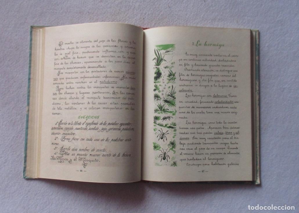 Libros de segunda mano: VIDA Y TRABAJO - JOSE COROMINAS - Foto 4