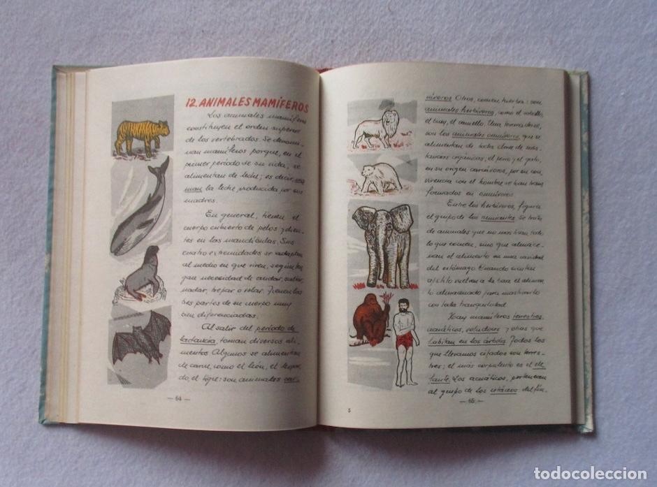 Libros de segunda mano: VIDA Y TRABAJO - JOSE COROMINAS - Foto 6
