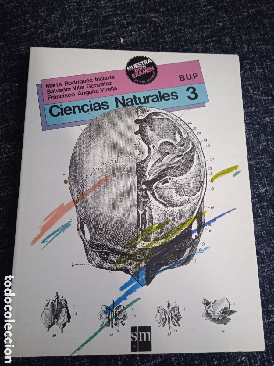 Livros em segunda m&atilde;o: CIENCIAS NATURALES. 3 BUP. -ED. EDICIONES SM 1986
