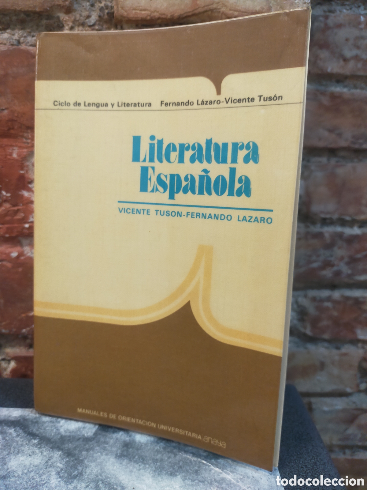 Libros de segunda mano: Libro Literatura Espa&ntilde;ola de Fernando L&aacute;zaro Carreter y Vicente Tus&oacute;n