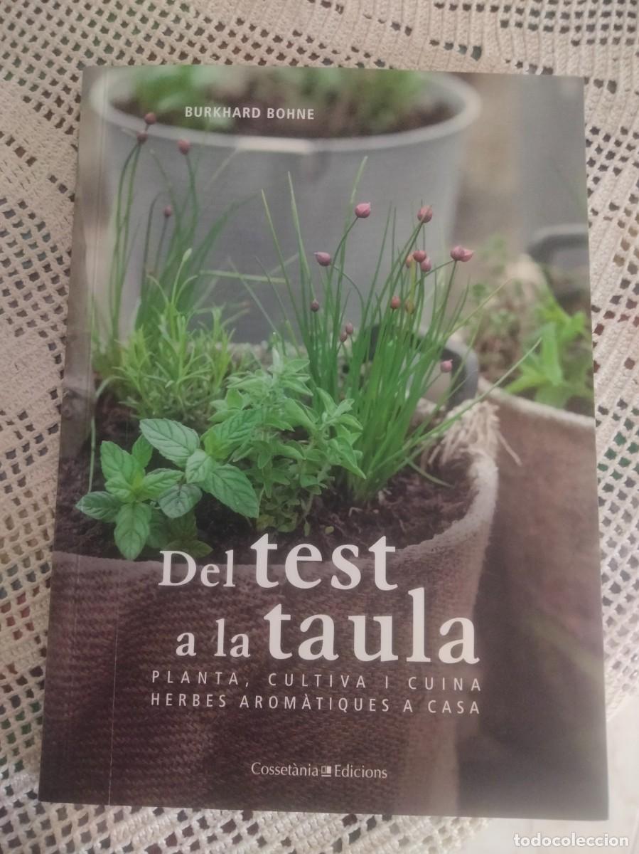 Libros de segunda mano: DEL TEST A LA TAULA ENTRA Y MIRA MAS LIBROS