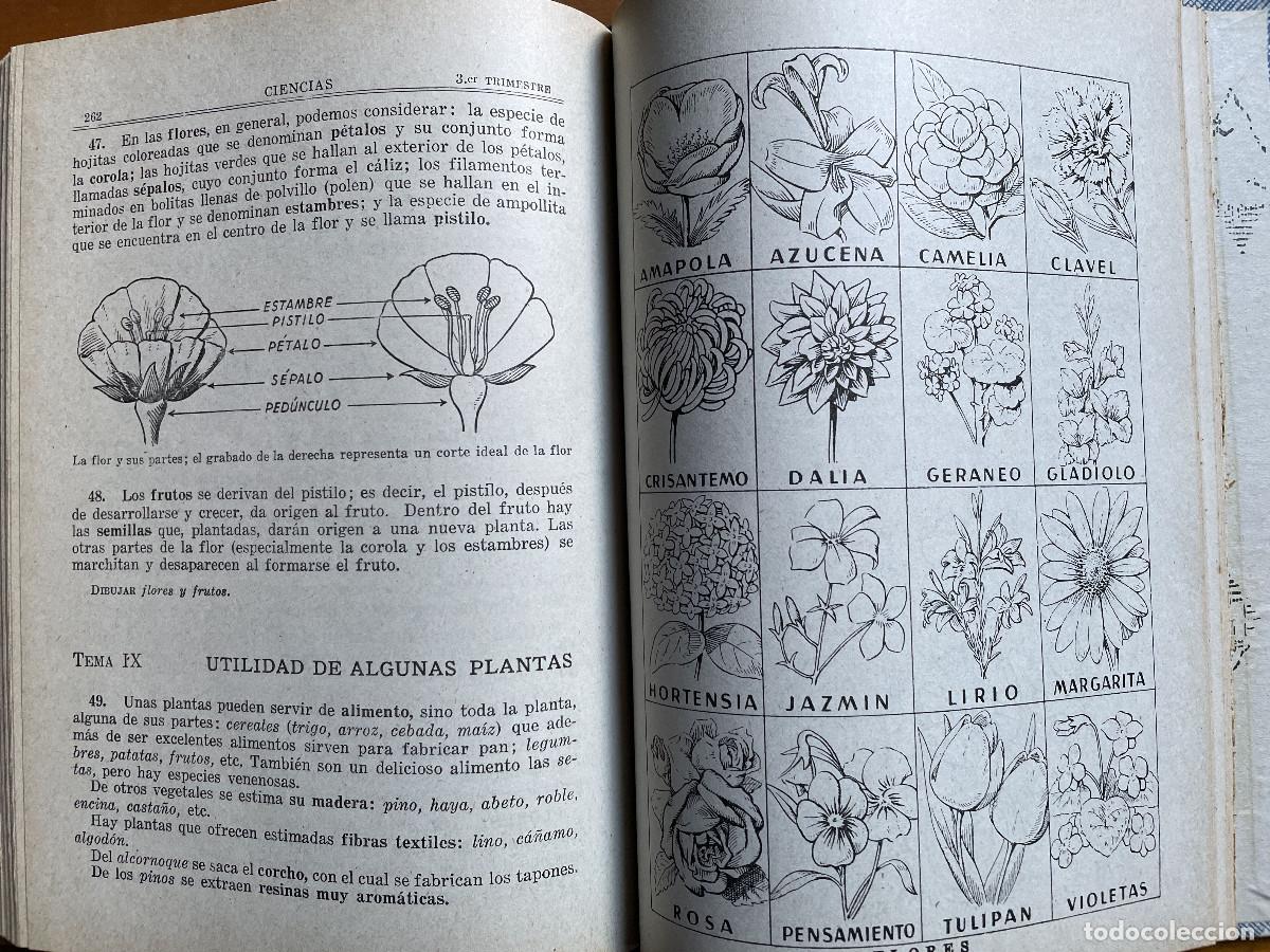 Libros de segunda mano: LOTE 4 libros de primaria a&ntilde;os 50 - Foto 20