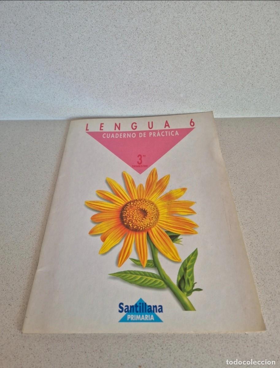 Libros de segunda mano: Libro &rdquo;Lengua&rdquo; cuaderno de practicas