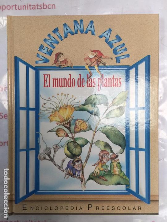 Libros: VENTANA AZUL enciclopedia preescolar - Foto 7