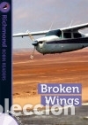 Libros: Broken wings, level 6 - Roy, James - Foto 1