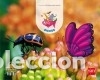 B&uuml;cher: Bichos. (Gnomos tras la huella Nivel 2). Explora - Dom&iacute;nguez Caballero, Susana;Men&eacute;ndez Camarena,