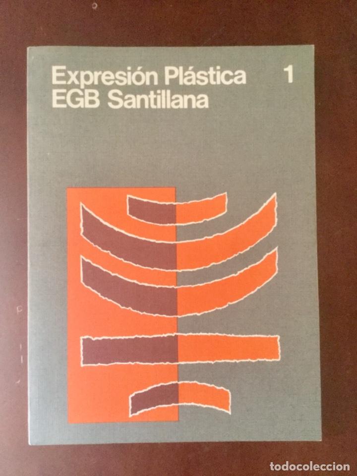 Libros: Expresion Pl&aacute;stica 1&ordm; EGB. SANTILLANA - Foto 1