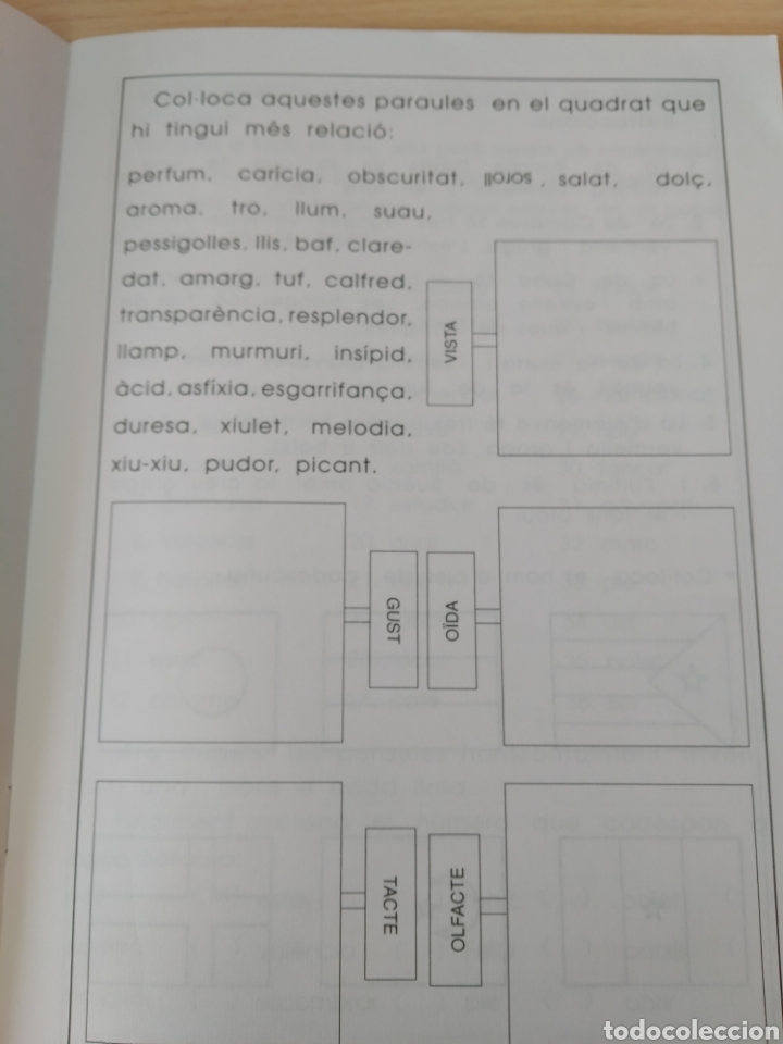 Libros: Lector n 11. Ed Nadal. Nuevo - Foto 3