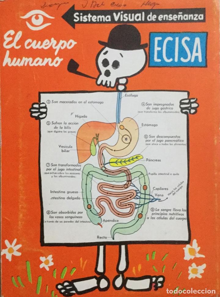 Libros: El Cuerpo humano. Sistema visual de ense&ntilde;anza. - Foto 1