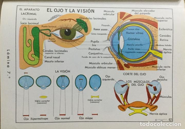 Libros: El Cuerpo humano. Sistema visual de ense&ntilde;anza. - Foto 4