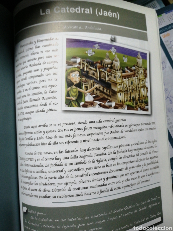 Libros: AC&Eacute;RCATE A ... ANDALUC&Iacute;A. UN RECORRIDO A TRAV&Eacute;S DE LAS COMPETENCIAS B&Aacute;SICAS - Foto 4