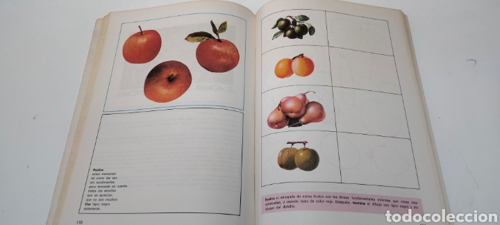 Libros: OBSERV&Oacute; Y DIBUJO. Edelvives 6EGB - Foto 4