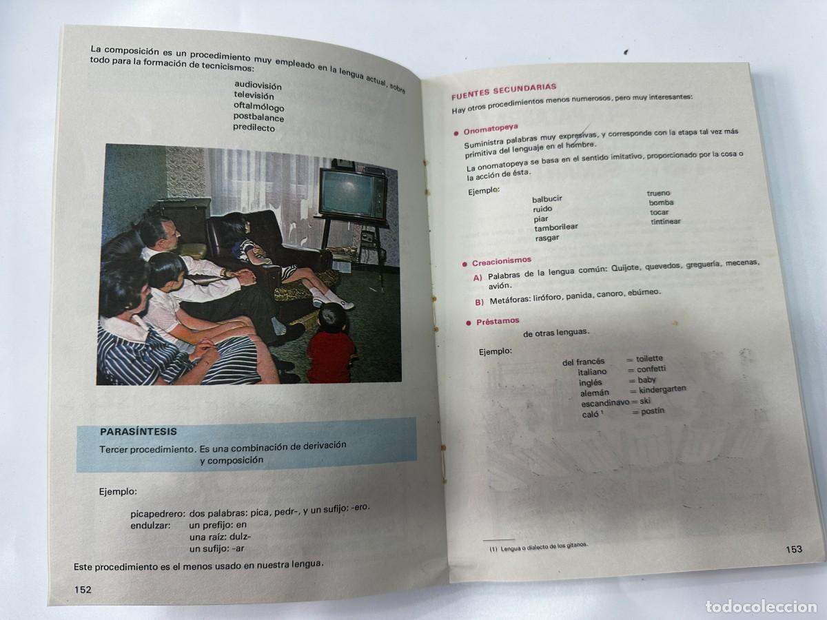 Libros: NOSOTROS Y LAS PALABRAS.EDELVIVES 6 EGB - Foto 3