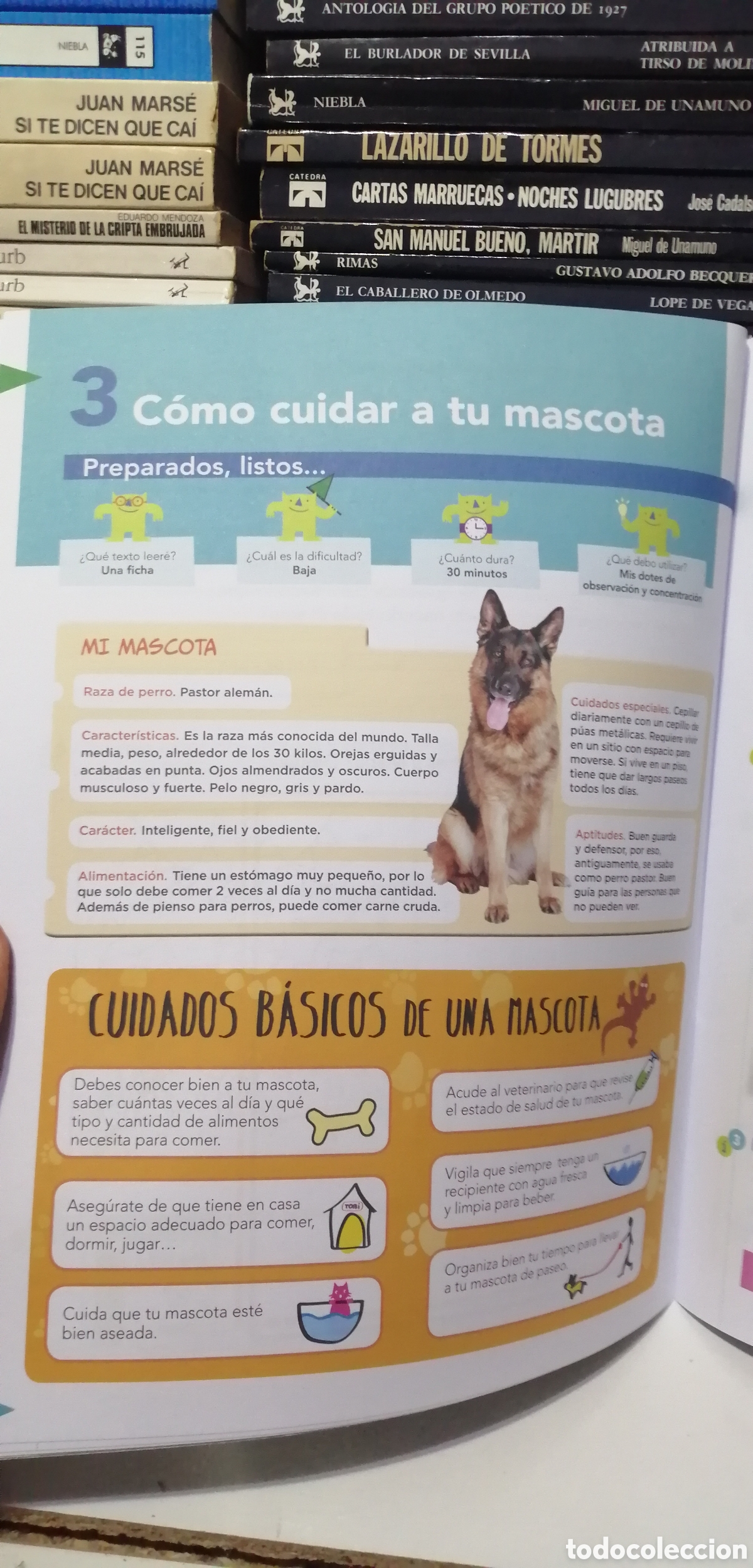 Libros: 2 Primaria Competencia ling&uuml;&iacute;stica Anaya Nuevo! - Foto 13