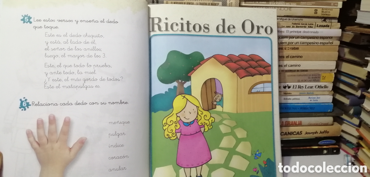 Libros: Lecturas 1 Primaria Lapiceros Bru&ntilde;o 2010 - Foto 8