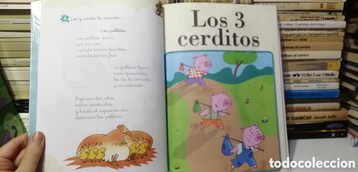 Libros: Lecturas 1 Primaria Lapiceros Bru&ntilde;o 2010 - Foto 10