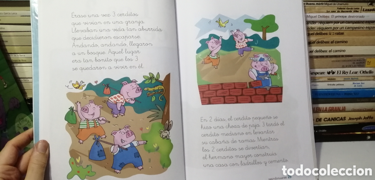 Libros: Lecturas 1 Primaria Lapiceros Bru&ntilde;o 2010 - Foto 11