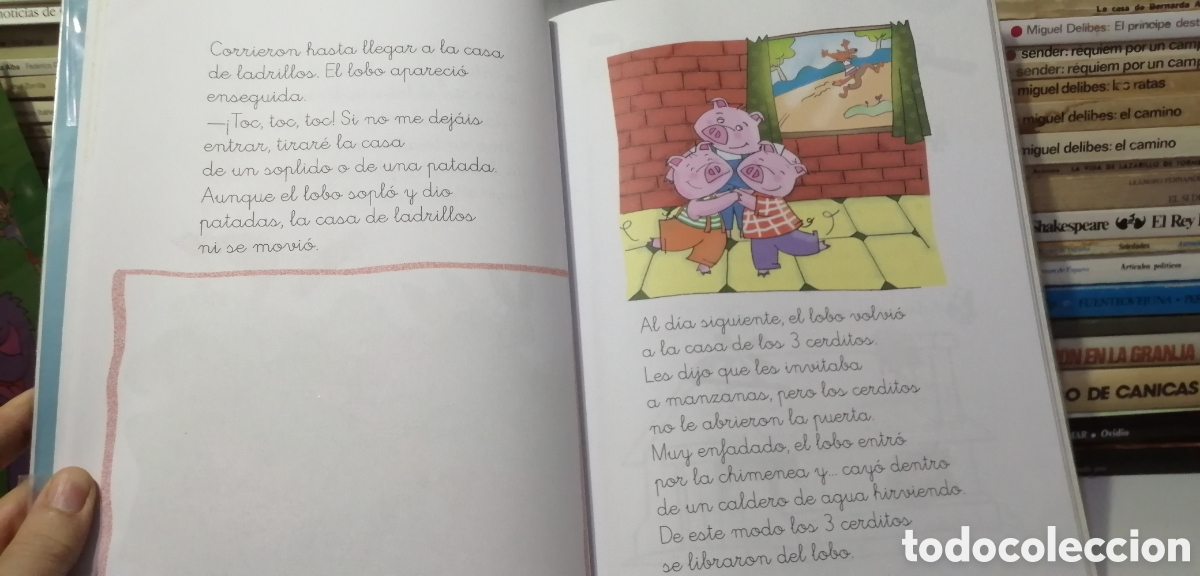 Libros: Lecturas 1 Primaria Lapiceros Bru&ntilde;o 2010 - Foto 12