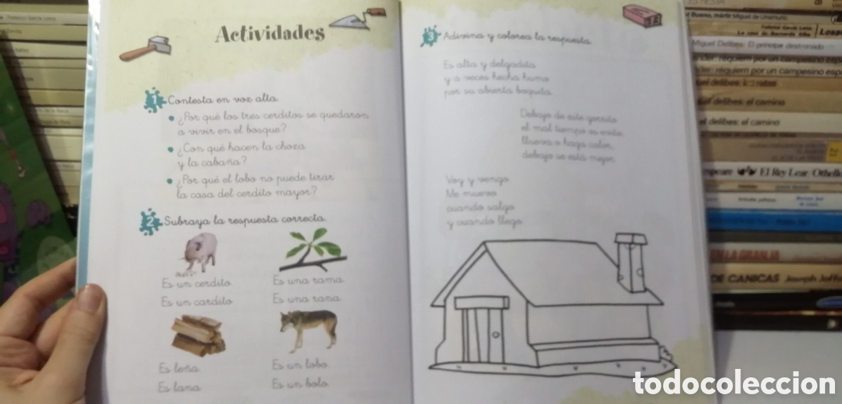 Libros: Lecturas 1 Primaria Lapiceros Bru&ntilde;o 2010 - Foto 13