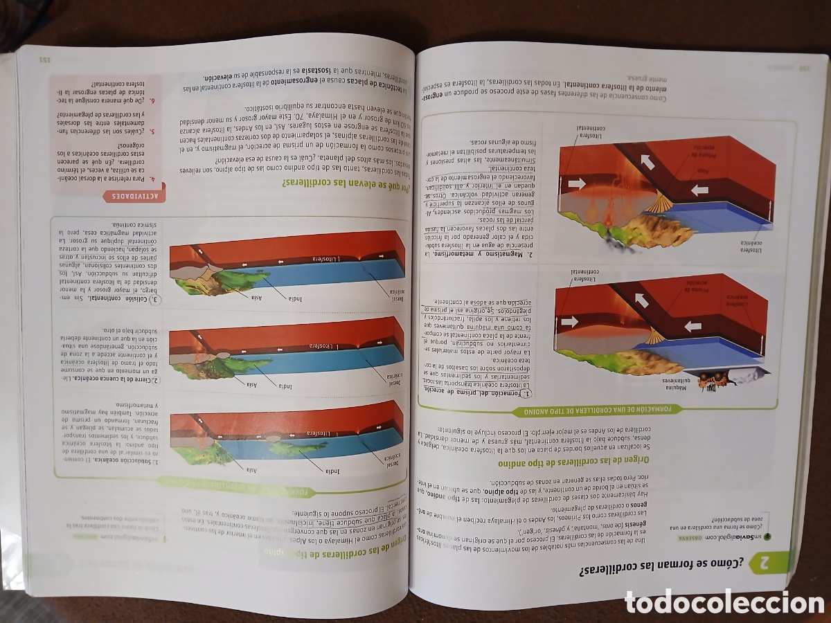Libros: Libro Biolog&iacute;a y Geolog&iacute;a. 4 Eso - Foto 4