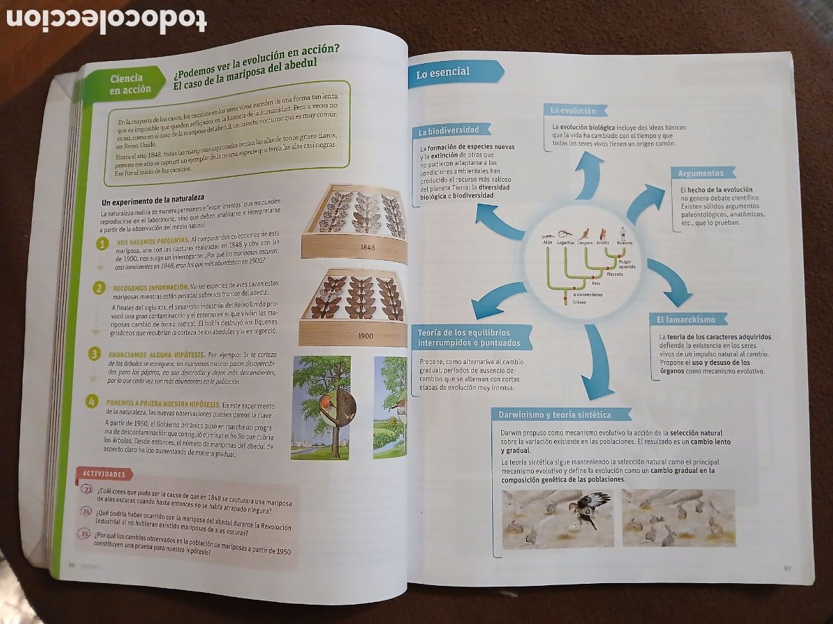 Libros: Libro Biolog&iacute;a y Geolog&iacute;a. 4 Eso - Foto 5