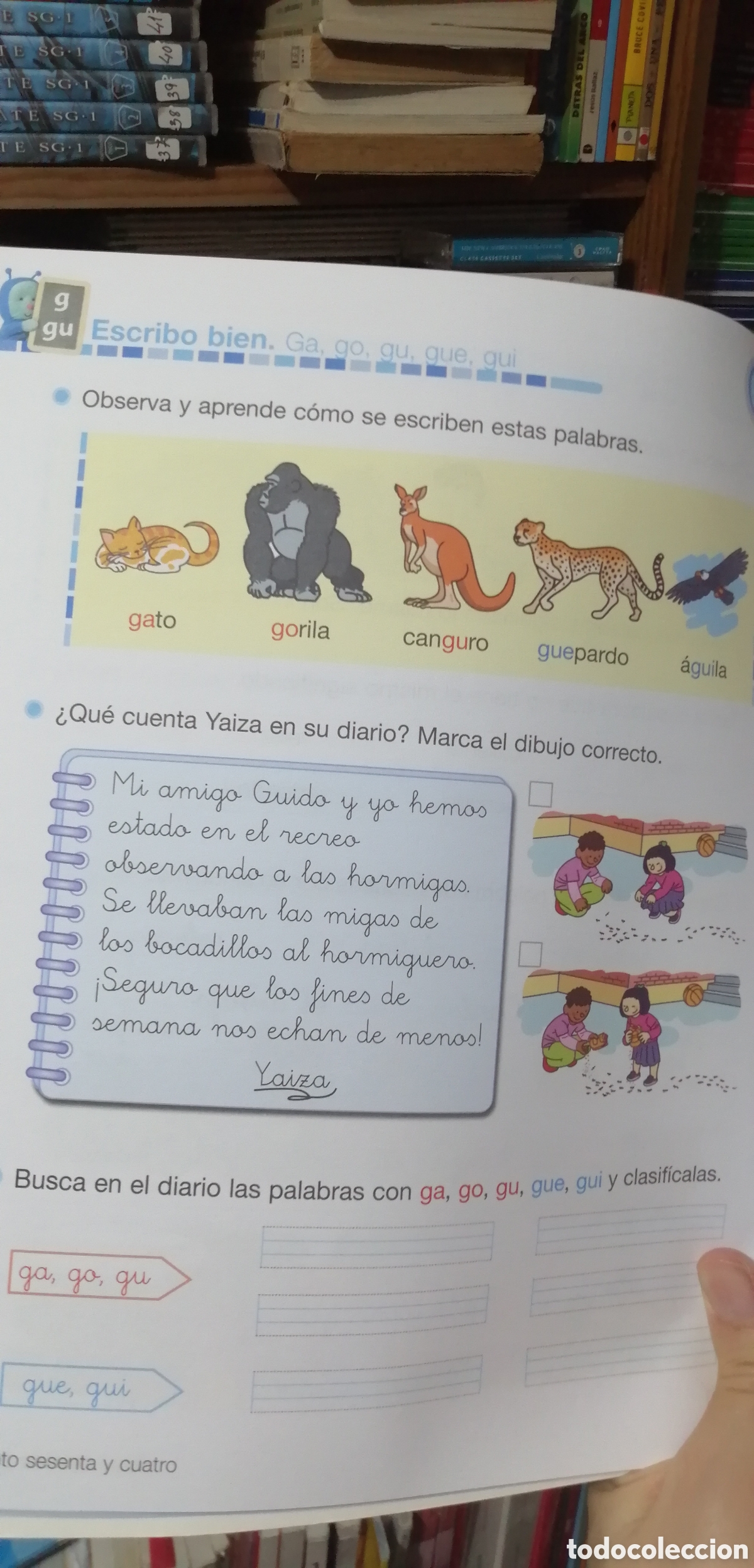 Libros: Nuevo! 1 Primaria Lengua para continuar SM - Foto 13