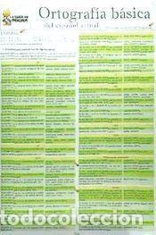 Libros: Ortograf&iacute;a b&aacute;sica del espa&ntilde;ol actual - VV.AA. - Foto 1