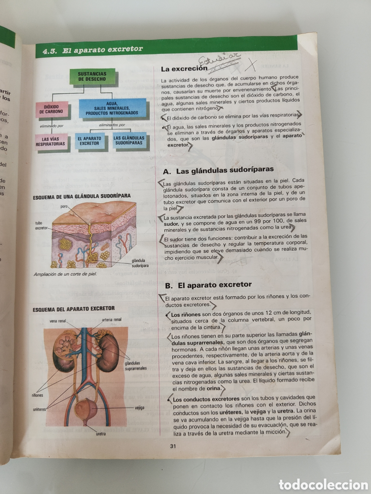 Libros: Nova Naturaleza 7&ordm; EGB - Foto 2