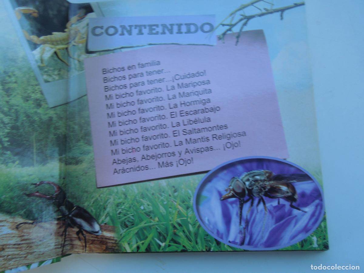 Libros: BICHOS - MOLTO DISCOVERY WORLDS - KIDS DIGITAL ENCYCLOPEDIA - Foto 2