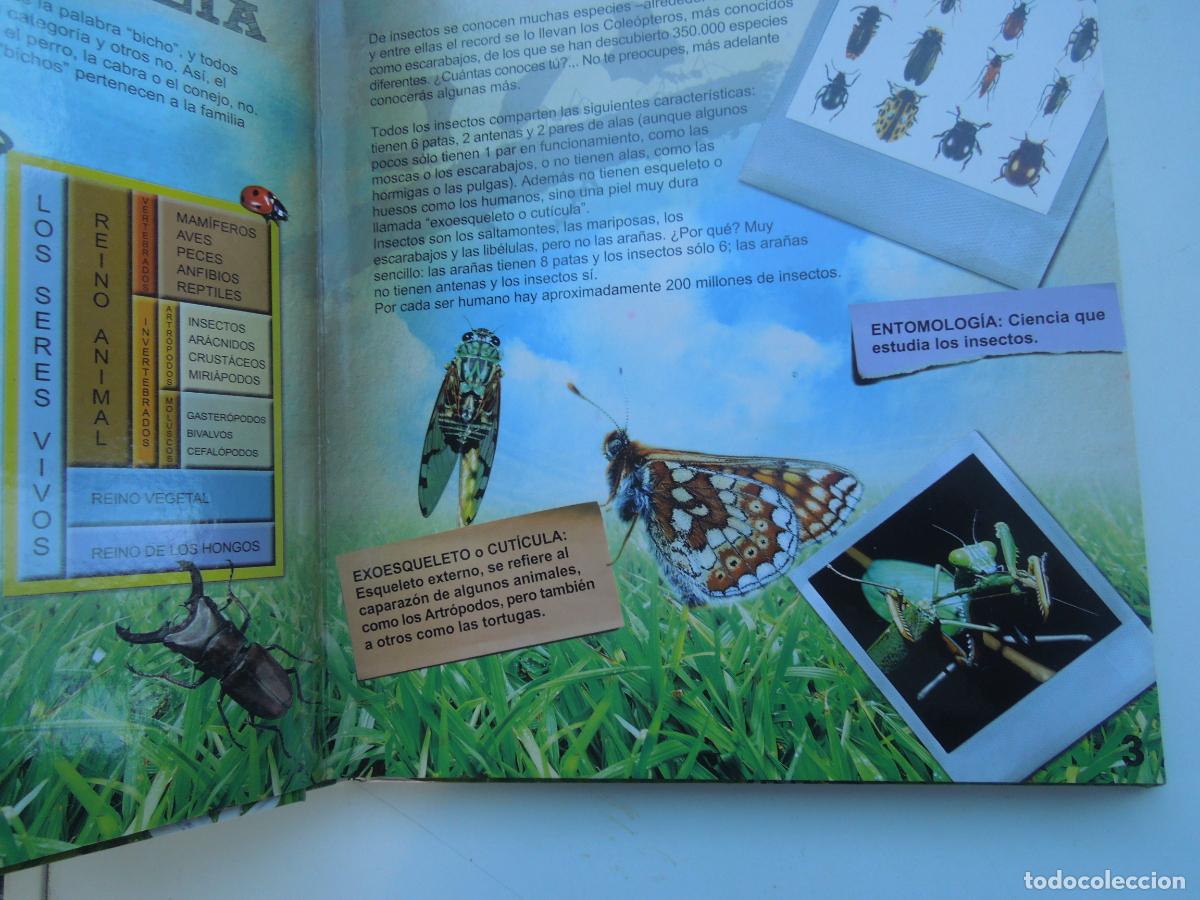 Libros: BICHOS - MOLTO DISCOVERY WORLDS - KIDS DIGITAL ENCYCLOPEDIA - Foto 3