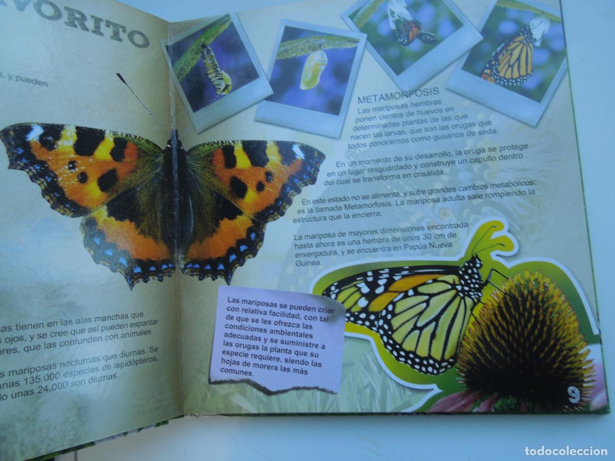 Libros: BICHOS - MOLTO DISCOVERY WORLDS - KIDS DIGITAL ENCYCLOPEDIA - Foto 4