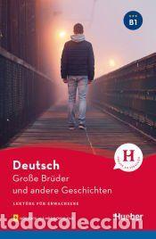 Libros: LEKT. B1 Grosse Brueder u.a. Geschichten - Luger, U. - Foto 1