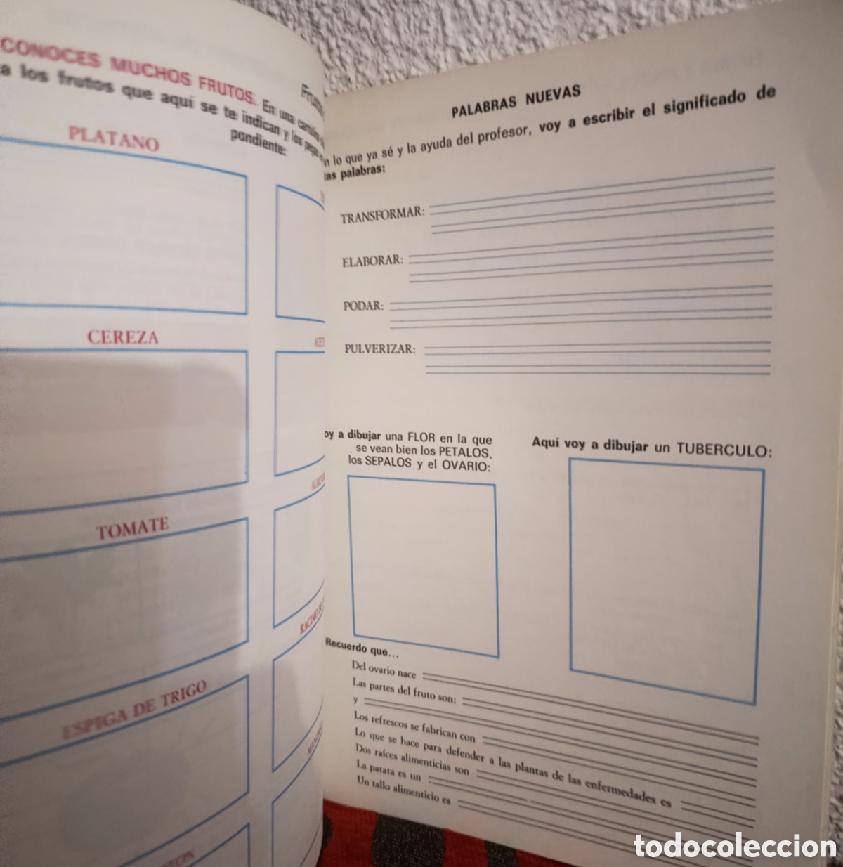 Libros: Libro de texto E.G.B. &rdquo;Cosmos 2&rdquo; - Editorial Anaya - Foto 2