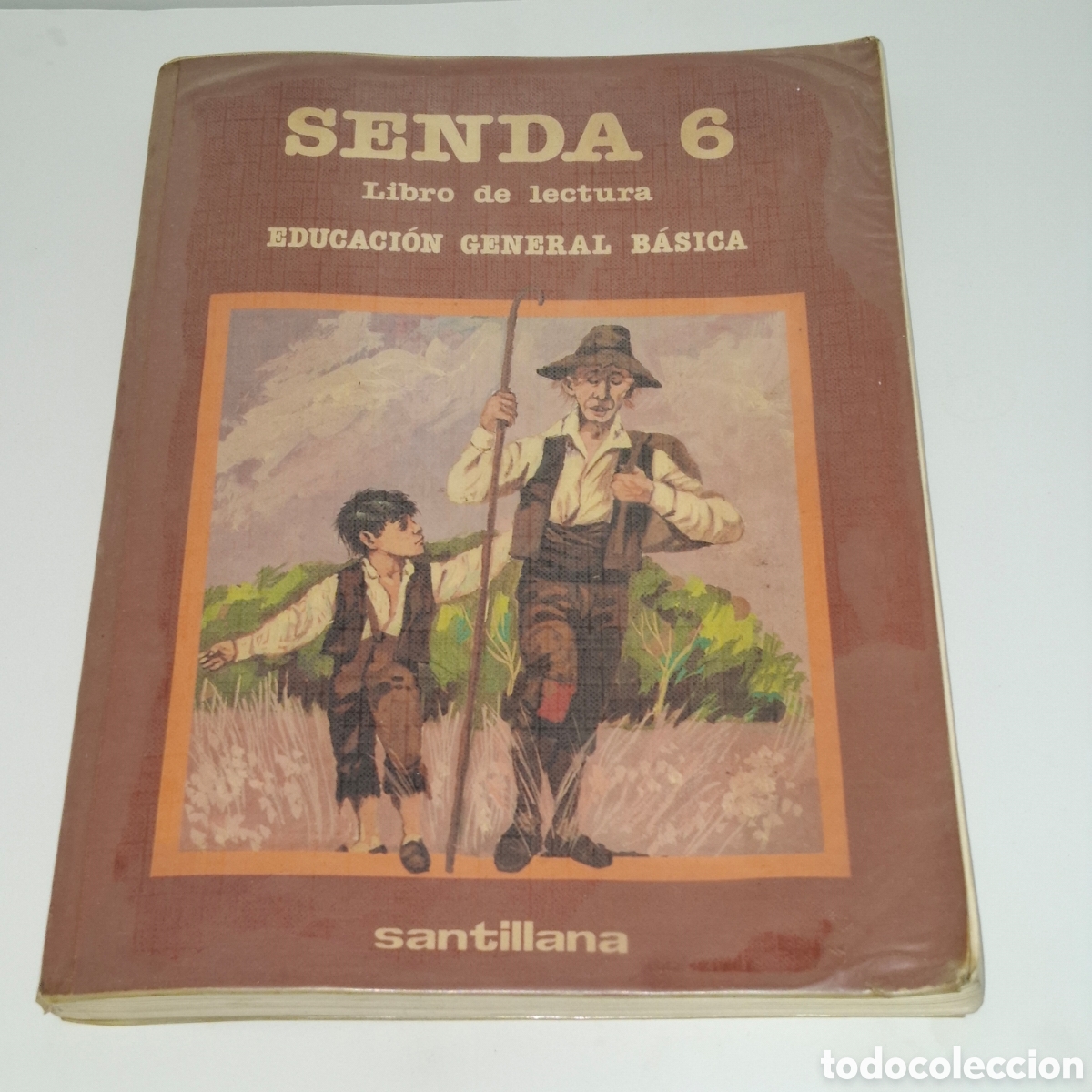 Libros: LIBRO SANTILLANA SENDA 6 EGB 1983