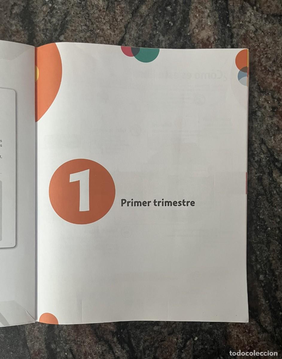 Libros: Lengua 1 Primaria Edebe Pack 3 Tomos - Foto 3