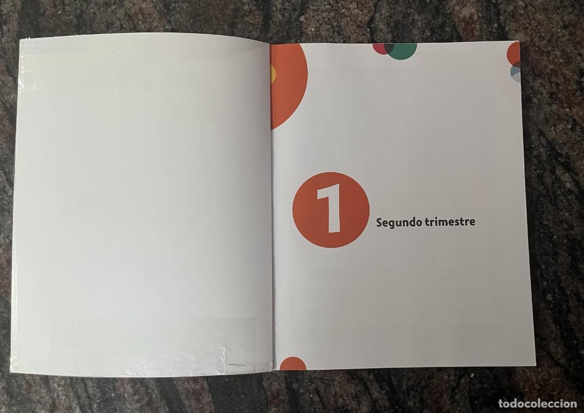 Libros: Lengua 1 Primaria Edebe Pack 3 Tomos - Foto 12