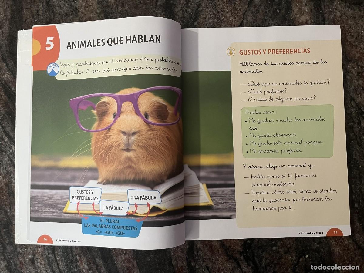 Libros: Lengua 1 Primaria Edebe Pack 3 Tomos - Foto 13