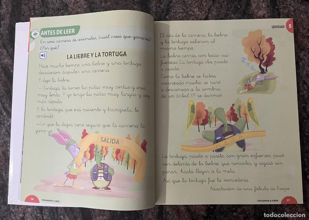 Libros: Lengua 1 Primaria Edebe Pack 3 Tomos - Foto 14