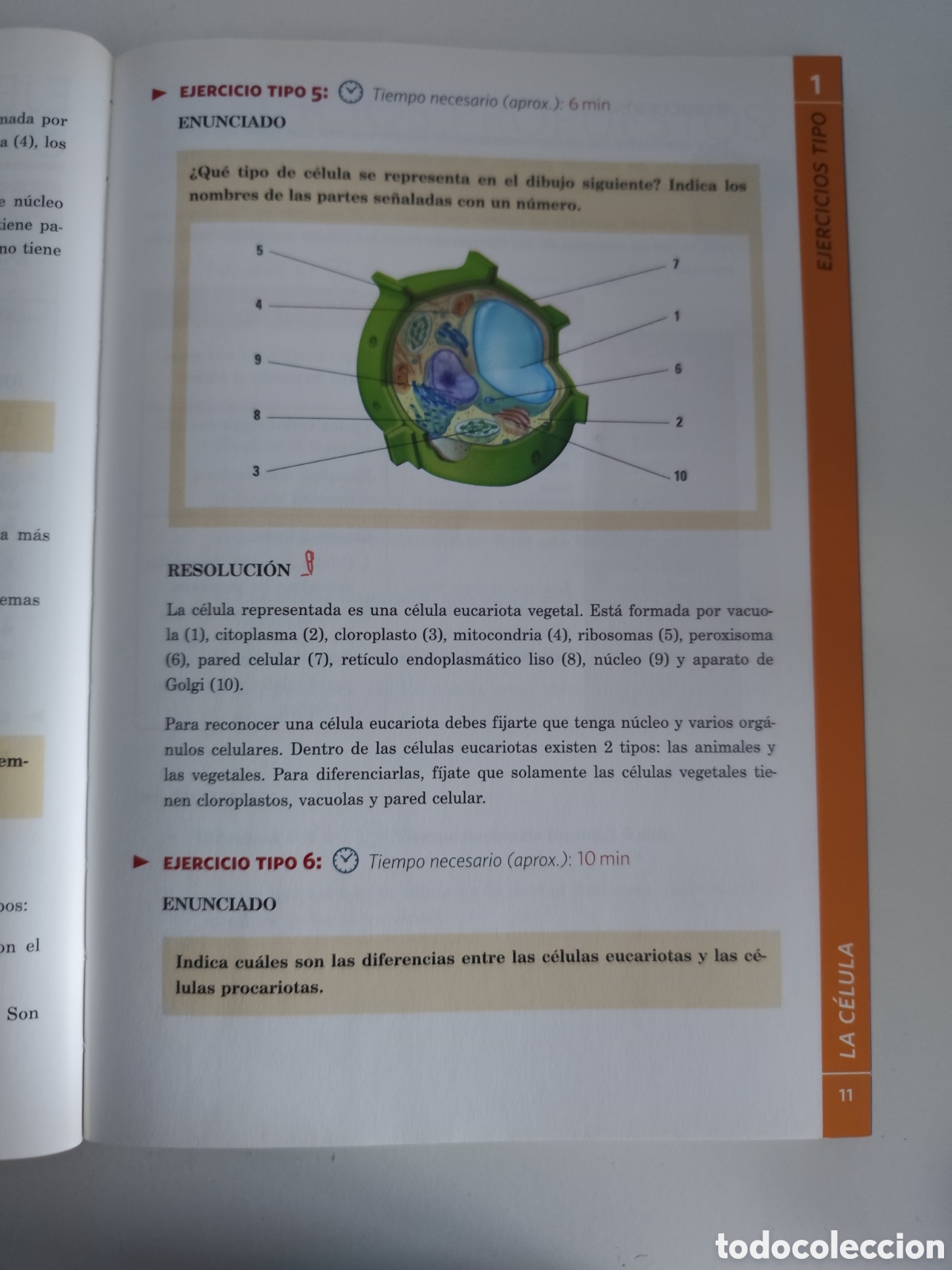 Libros: EXAtac ( Biolog&iacute;a y Geolog&iacute;a) - Foto 3