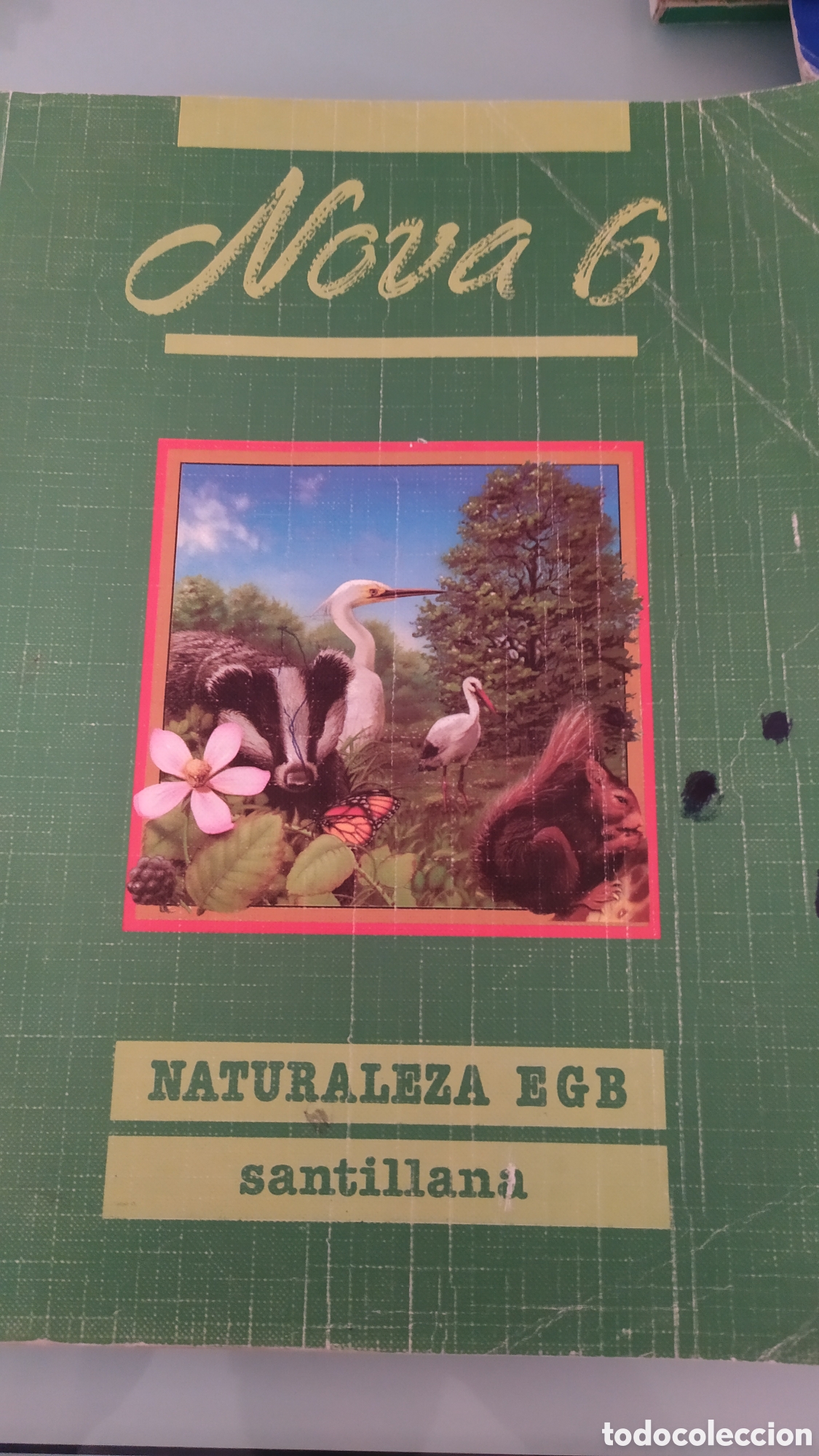 Libros: Libro Naturaleza 6 egb